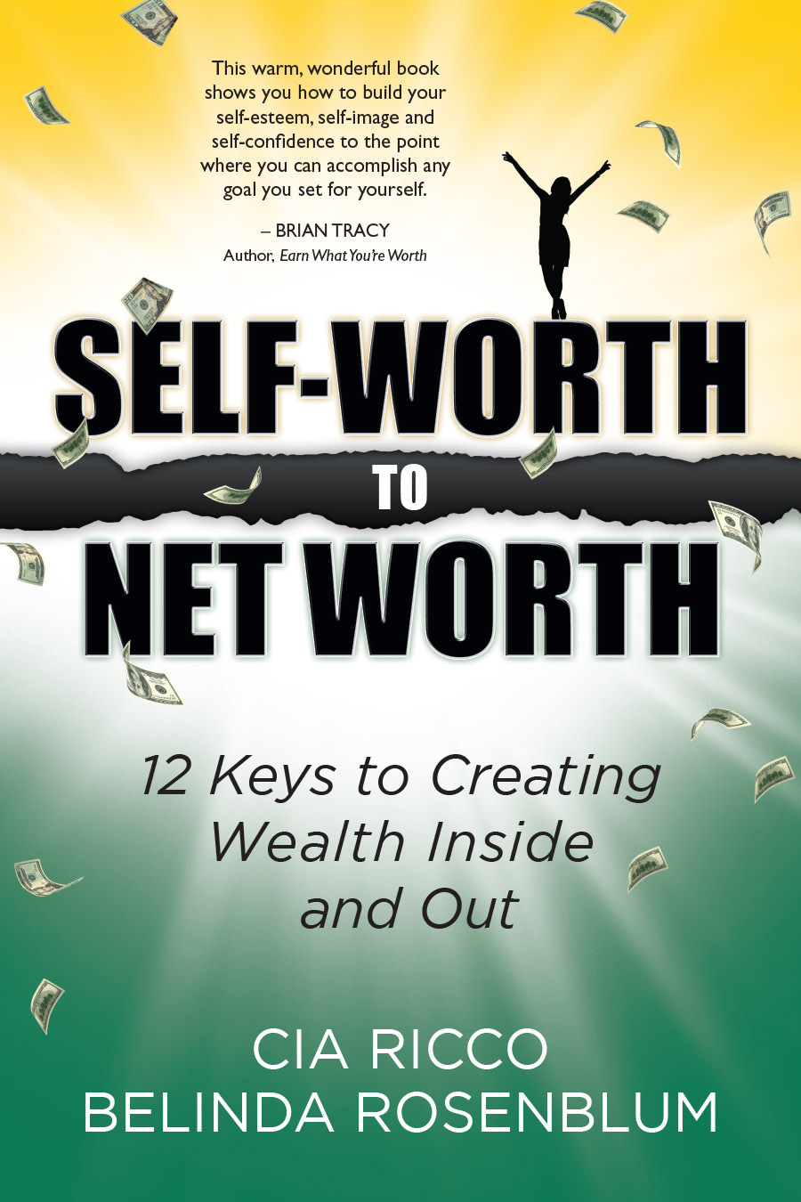 Self-Worth to Net Worth book